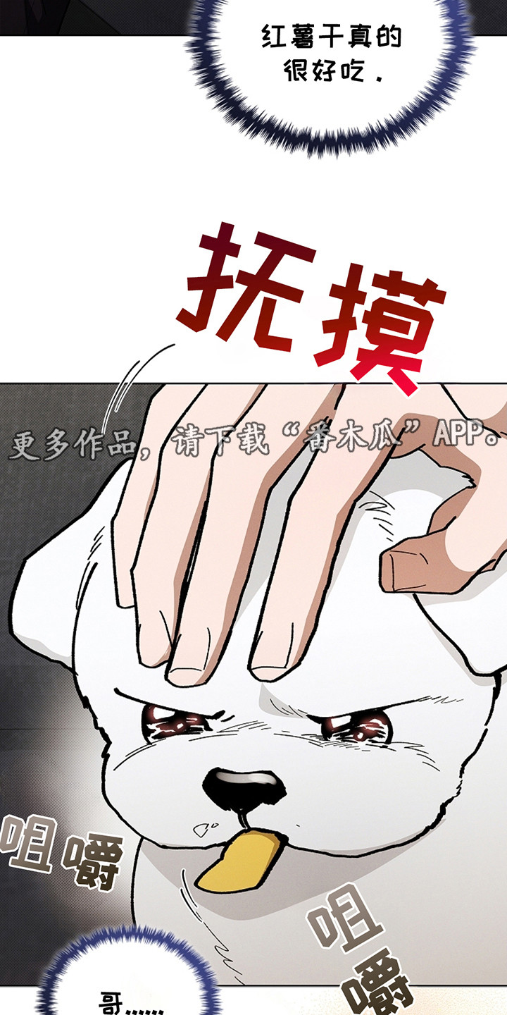 小白狗奇遇记漫画在线观看全集免费漫画,第14话5图