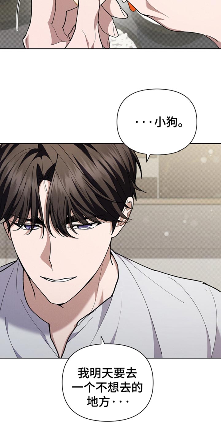 小白狗奇遇记21漫画,第28话4图
