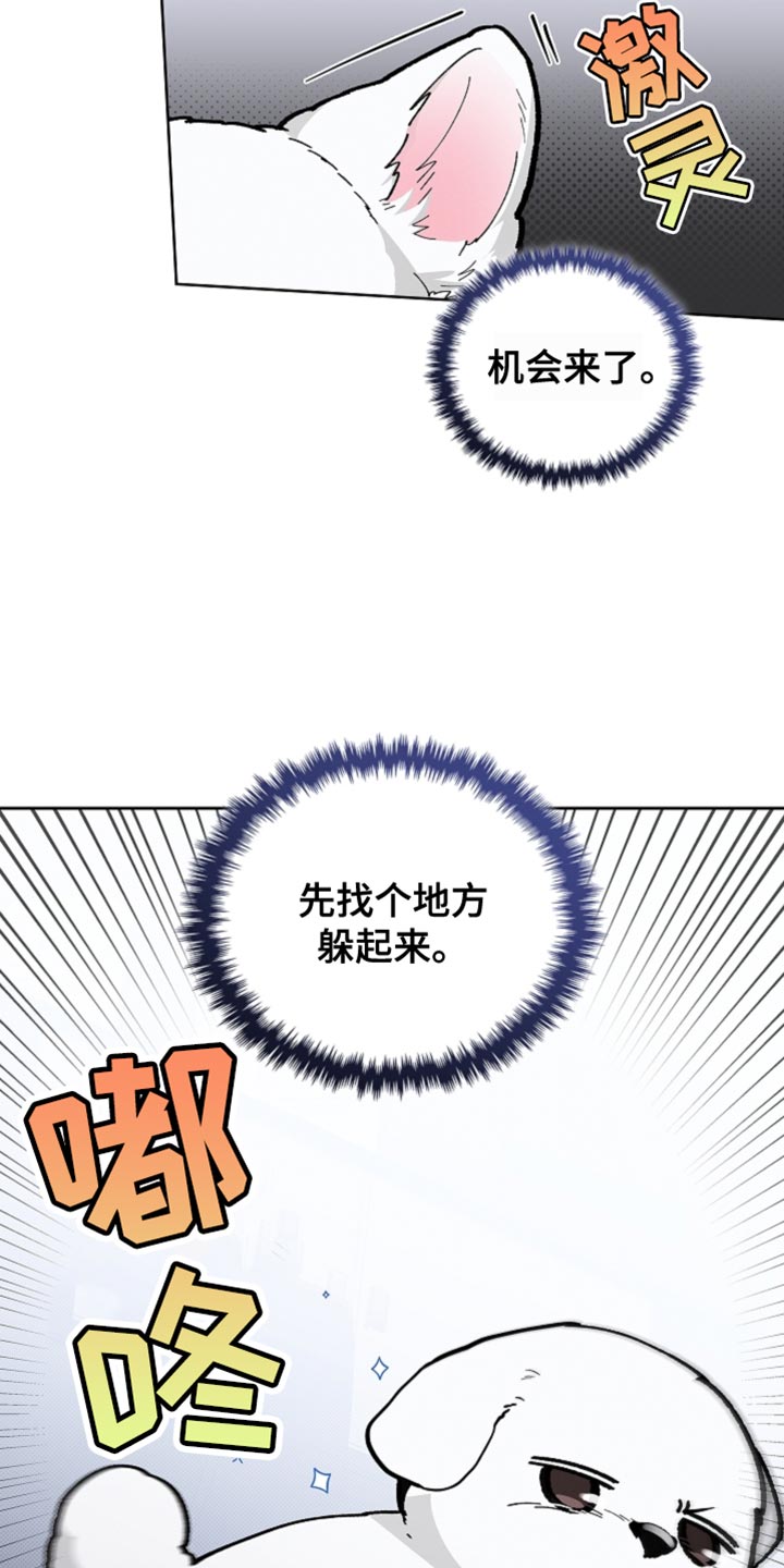 小白狗奇遇记简介漫画,第26话2图