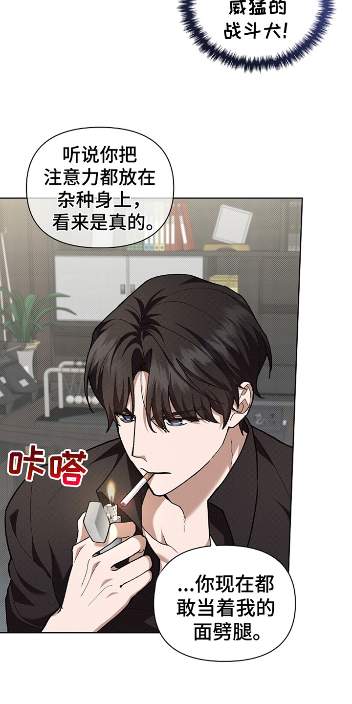 小白狗奇遇记漫画免费阅读全集漫画,第23话4图