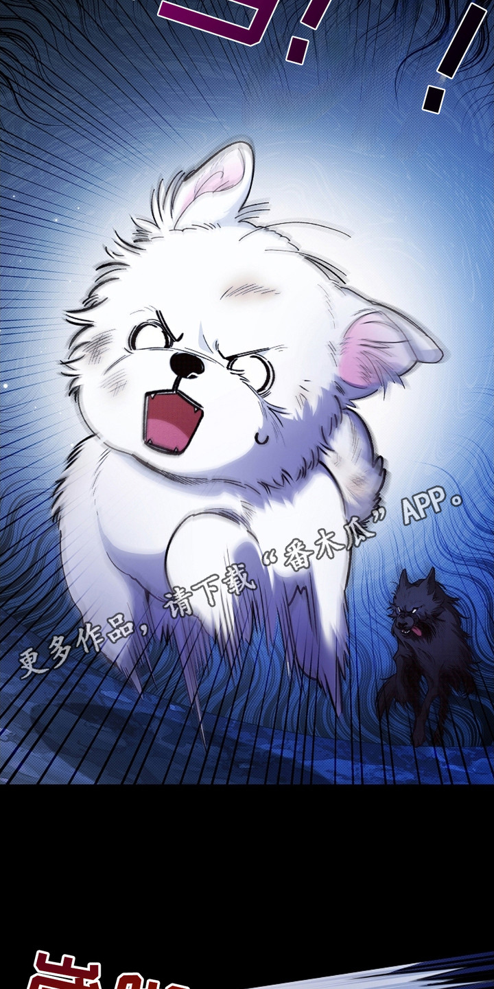 小白狗怎么画漫画,第1话5图