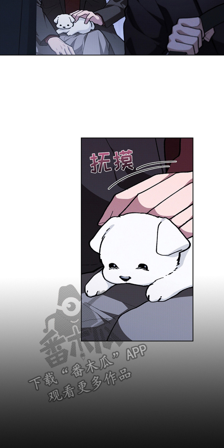 小白狗奇遇记主要内容漫画,第18话2图