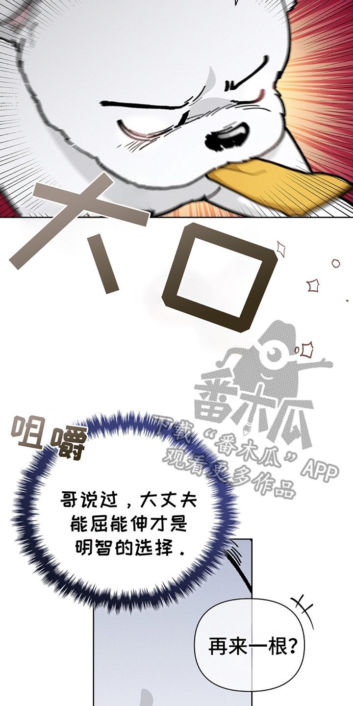 小白狗奇遇记漫画在线观看全集免费漫画,第14话2图
