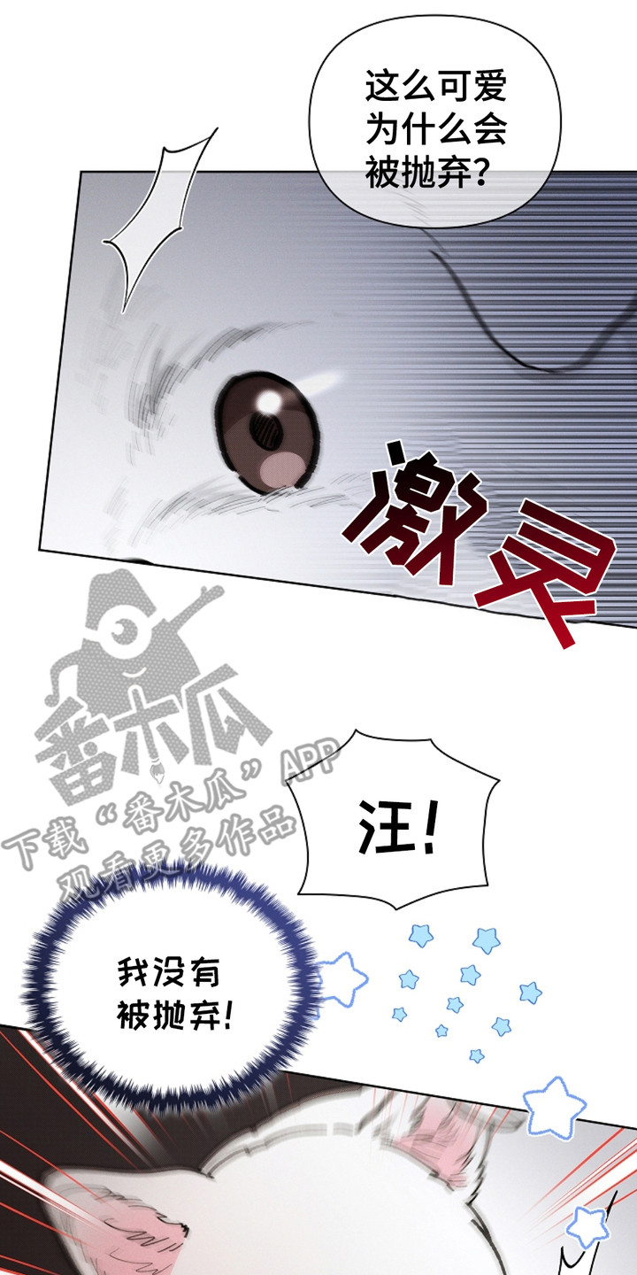 小白狗奇遇记免费漫画下拉式漫画,第15话2图