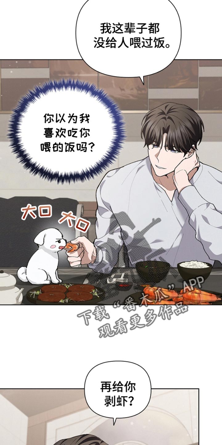 小白狗奇遇记21漫画,第28话2图