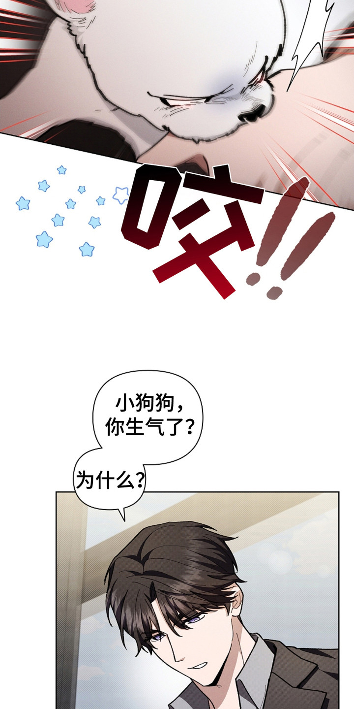 小白狗奇遇记免费漫画下拉式漫画,第15话3图