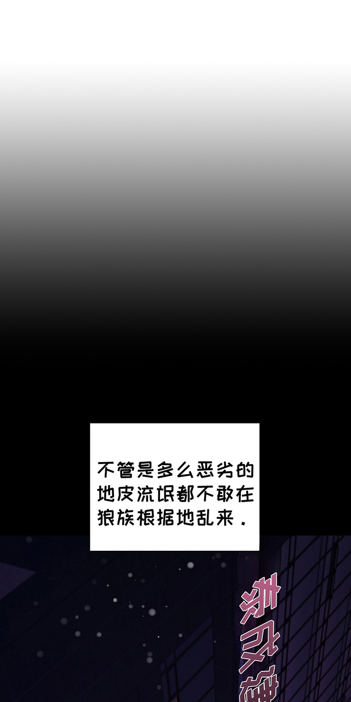 小白狗名字漫画,第20话1图