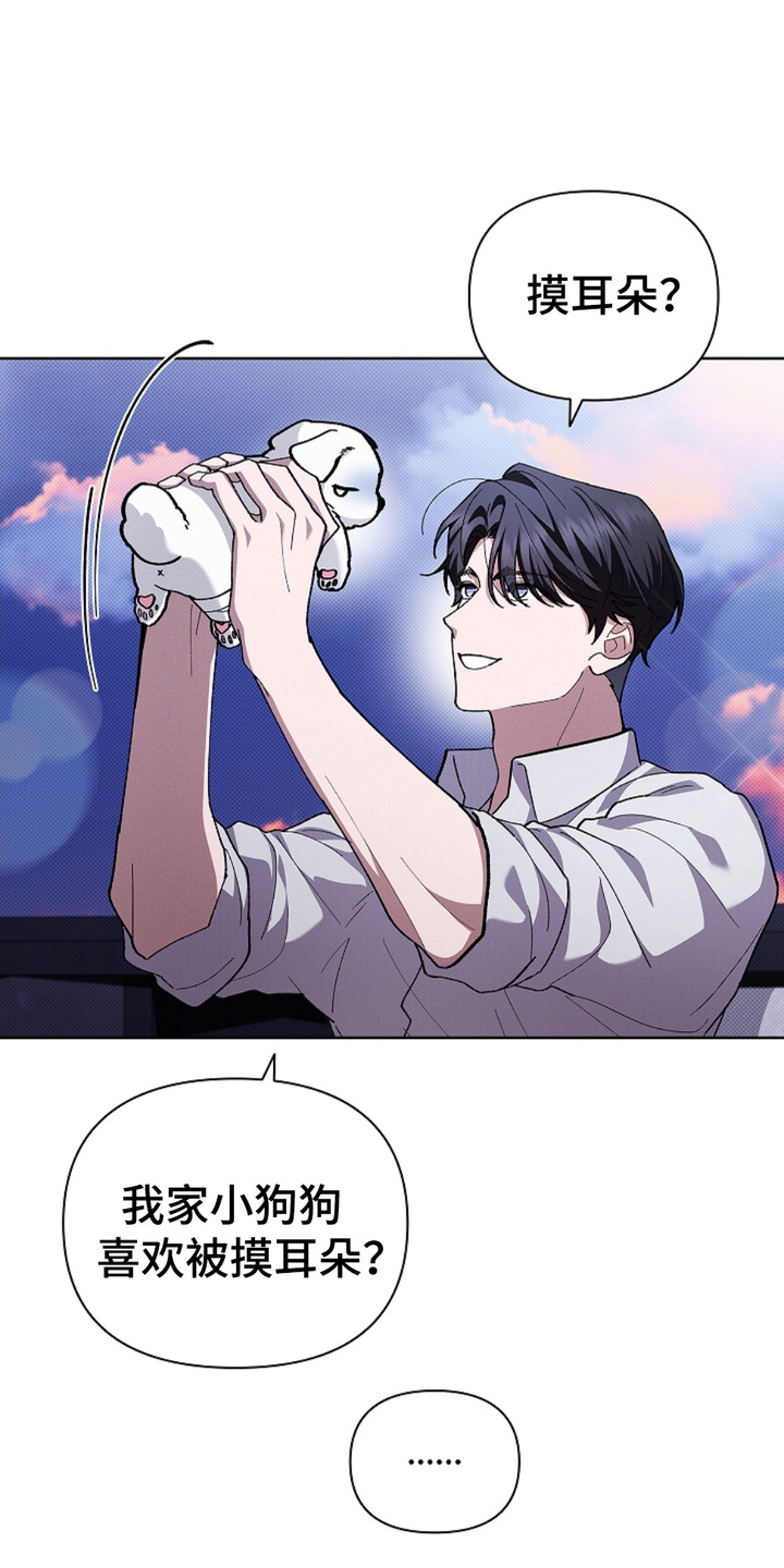 小白狗奇遇记第一话漫画,第19话1图