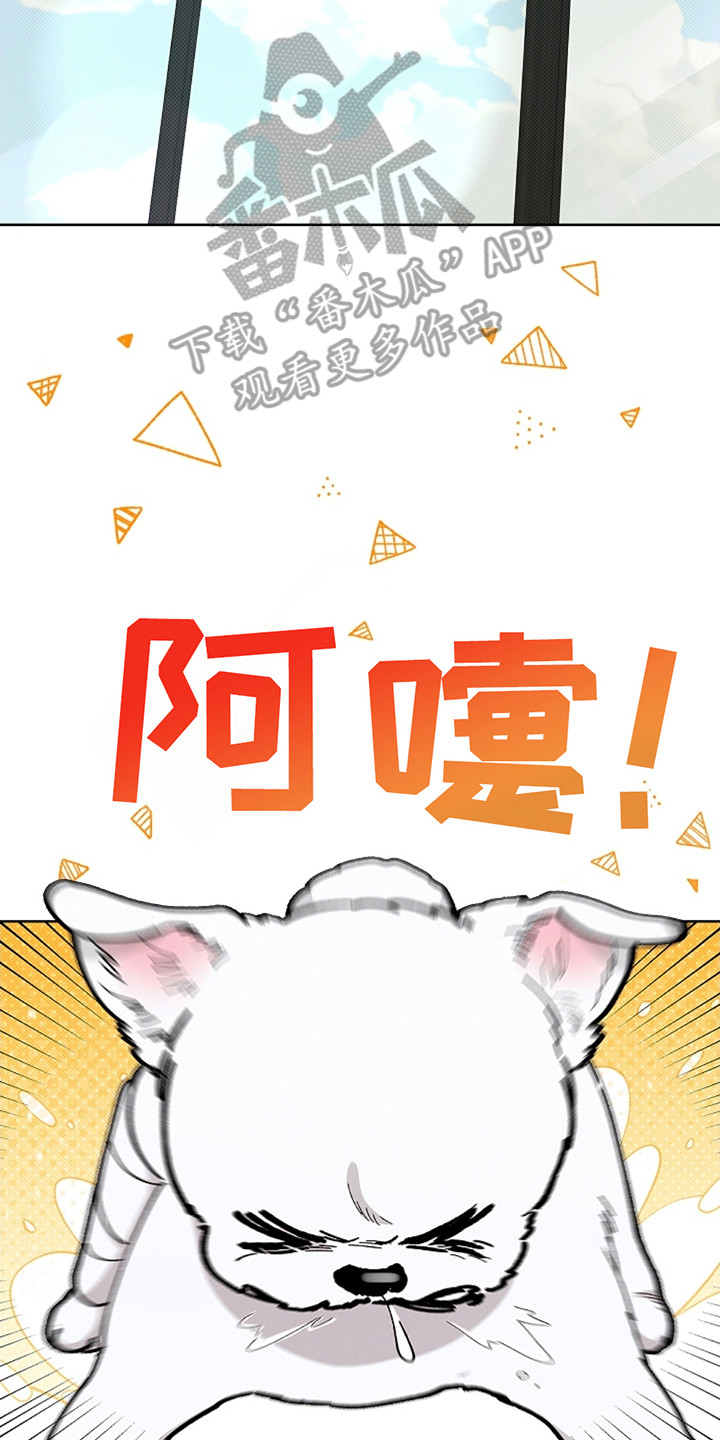 小白狗奇遇记免费观看漫画,第13话2图