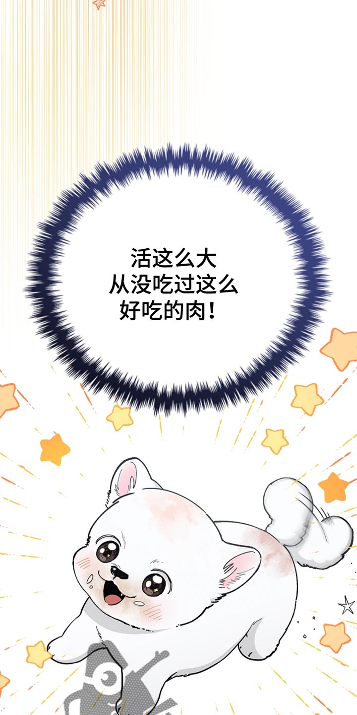小白狗奇遇记漫蛙叫什么漫画,第34话2图