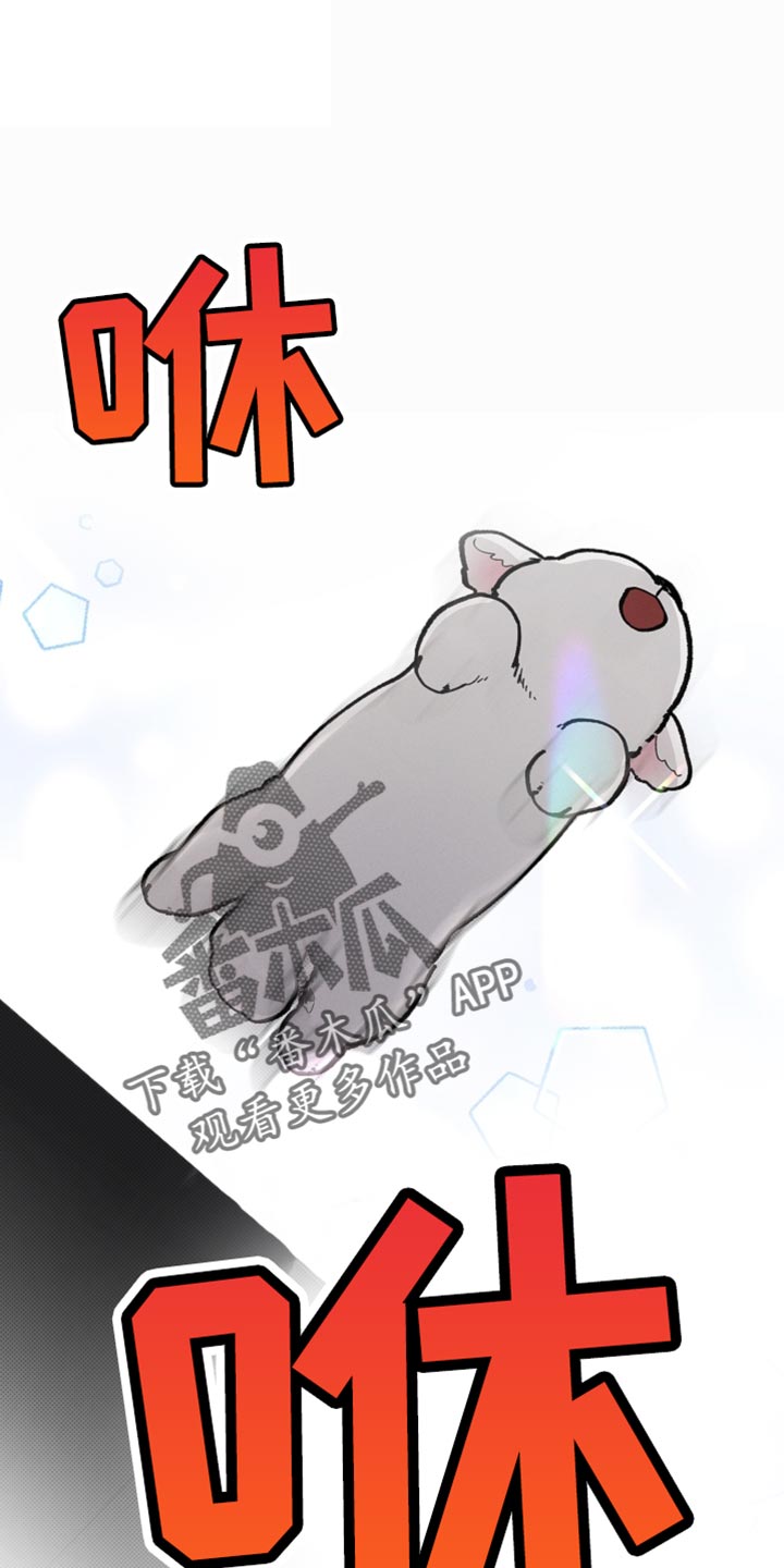 小白狗奇遇记简介漫画,第26话5图