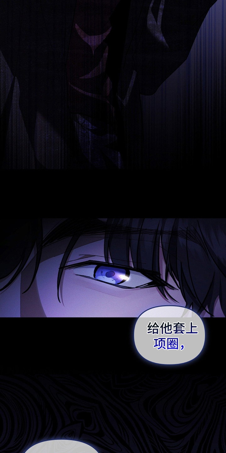 小白狗奇遇记小说全文漫画,第17话3图