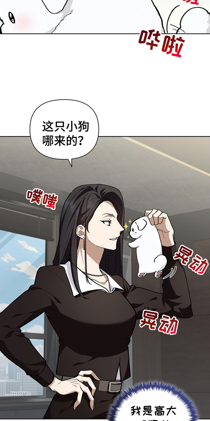 小白狗奇遇记漫画免费阅读全集漫画,第23话3图