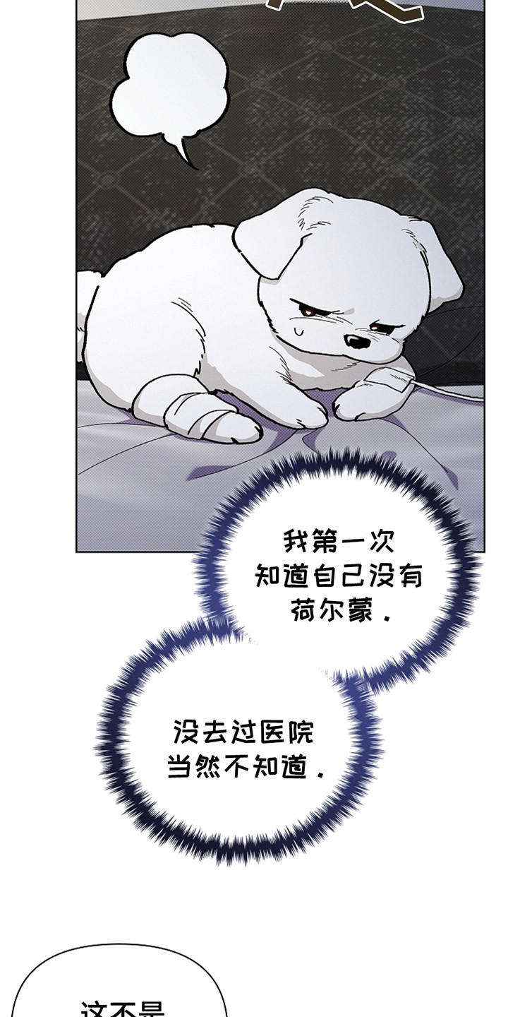 小白狗游戏漫画,第11话3图