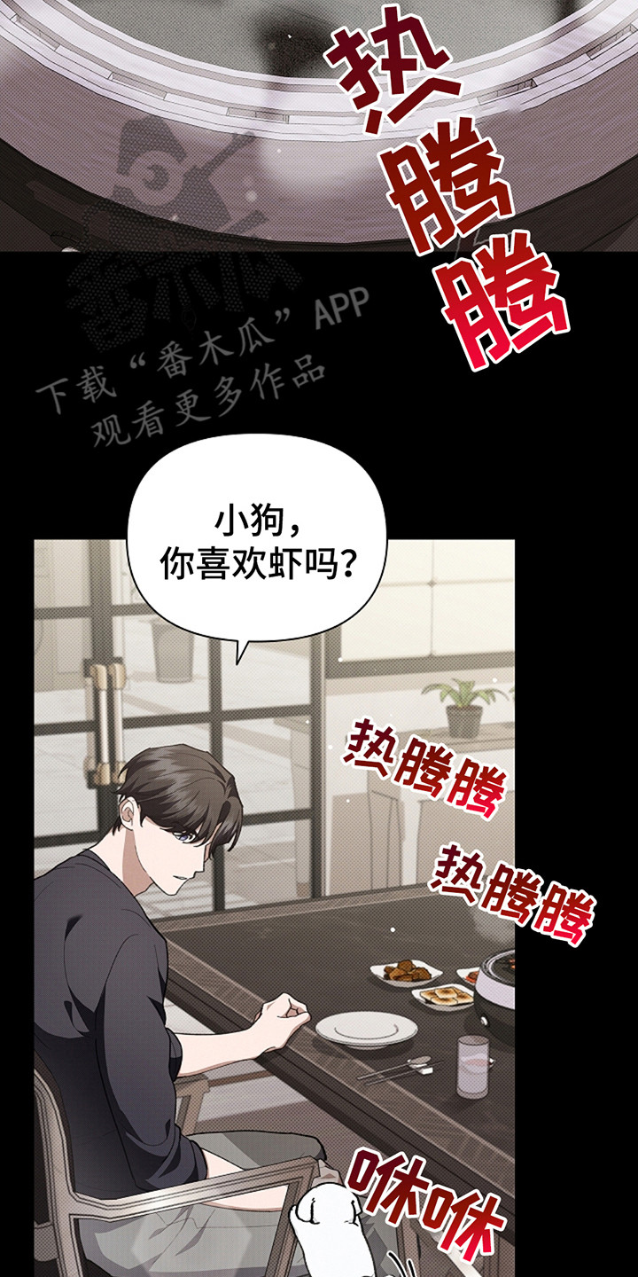 小白狗奇遇记25集漫画,第21话2图