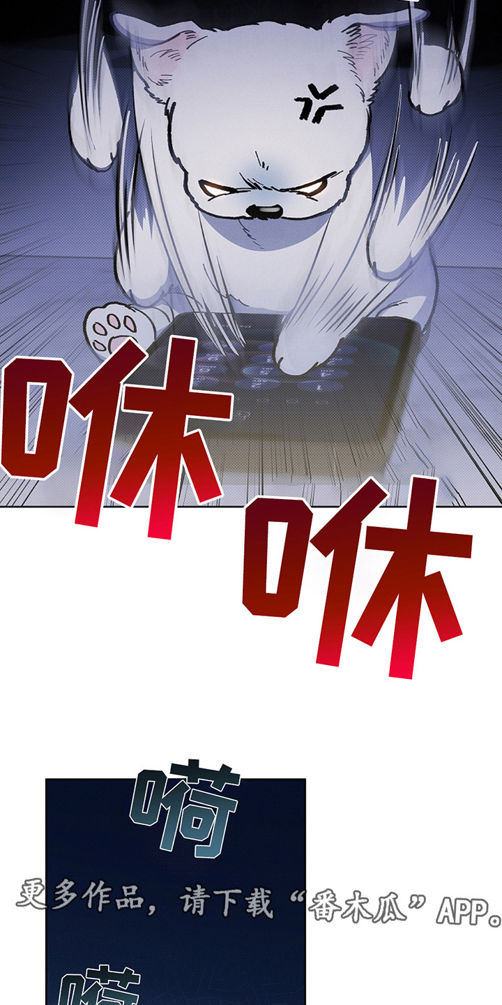 小白狗奇遇记免费阅读漫画,第12话5图