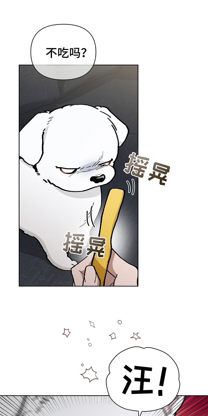 小白狗奇遇记漫画在线观看全集免费漫画,第14话1图