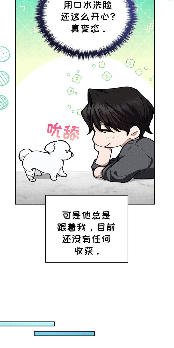 小白狗奇遇记免费观看漫画,第13话4图