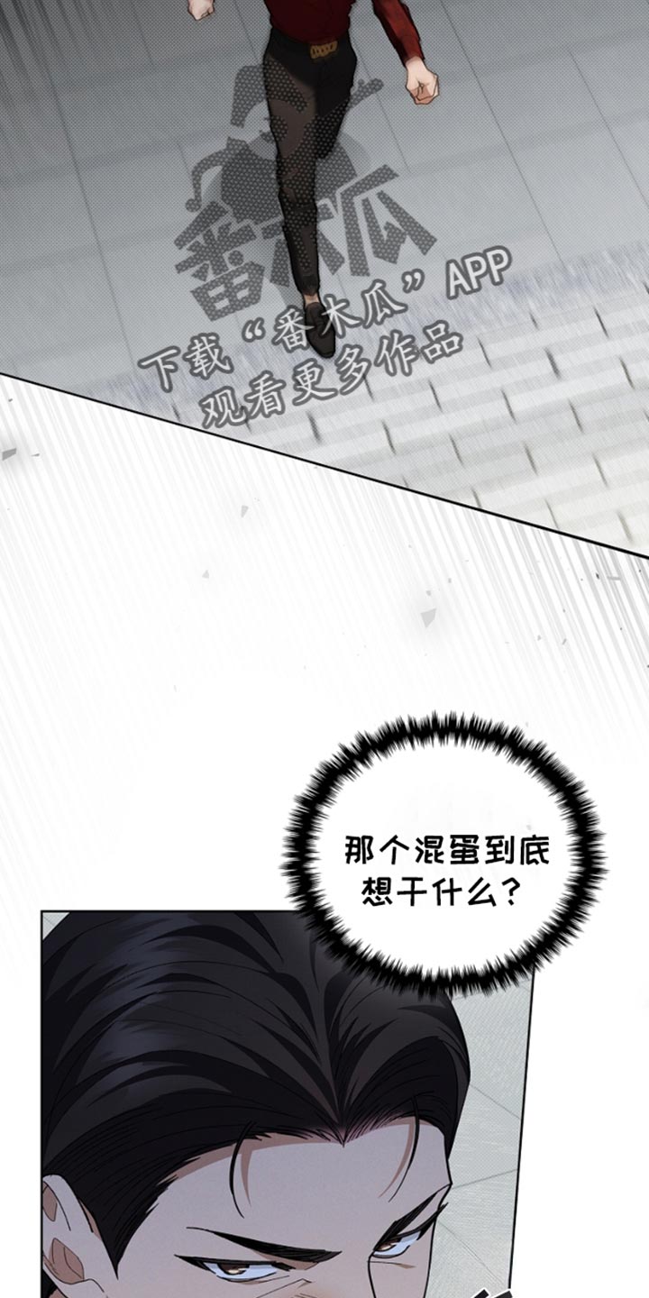 小白狗奇遇记免费漫画完整版漫画,第27话2图
