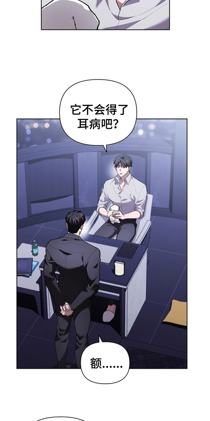 小白狗奇遇记第一话漫画,第19话3图