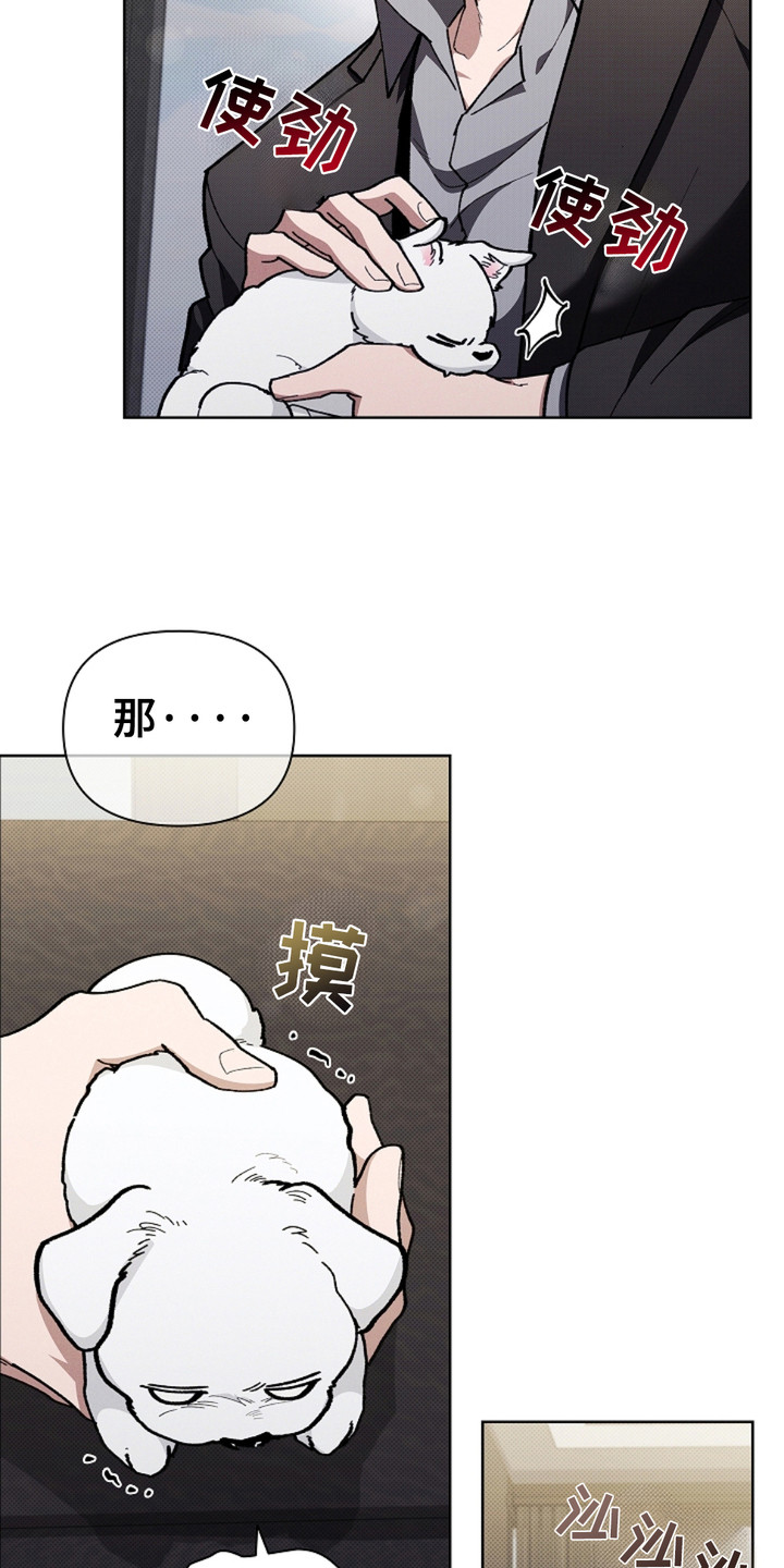 小白狗奇遇记免费漫画下拉式漫画,第15话4图