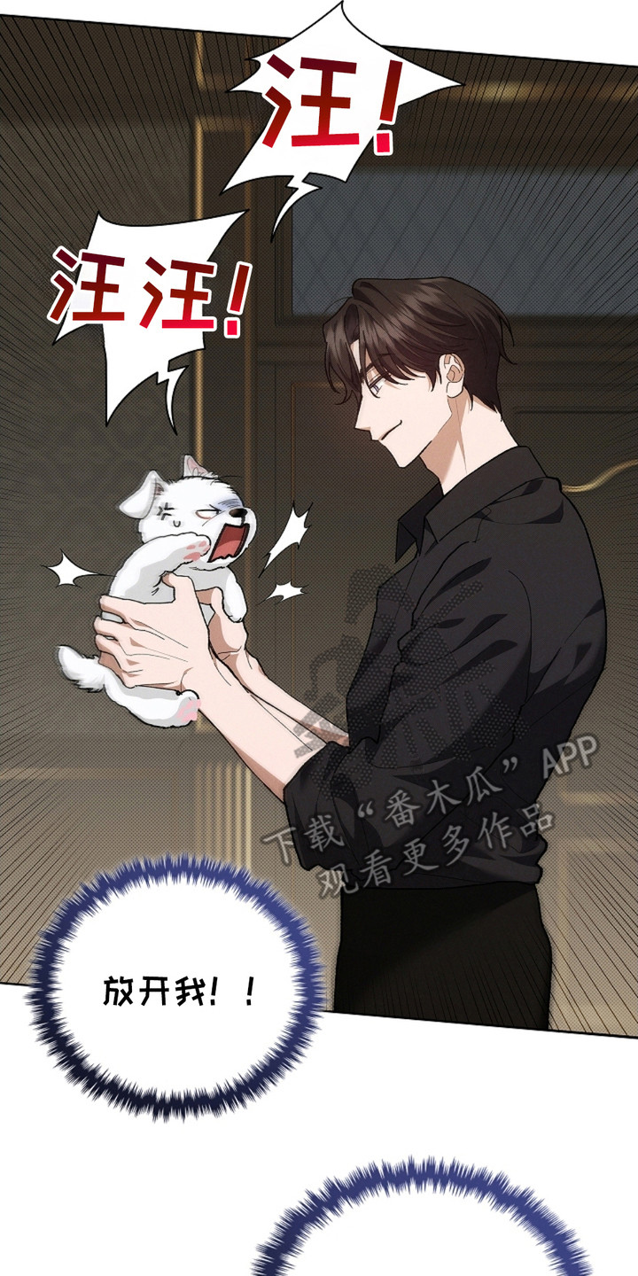 小白狗奇遇记免费漫画下拉式漫画,第4话2图