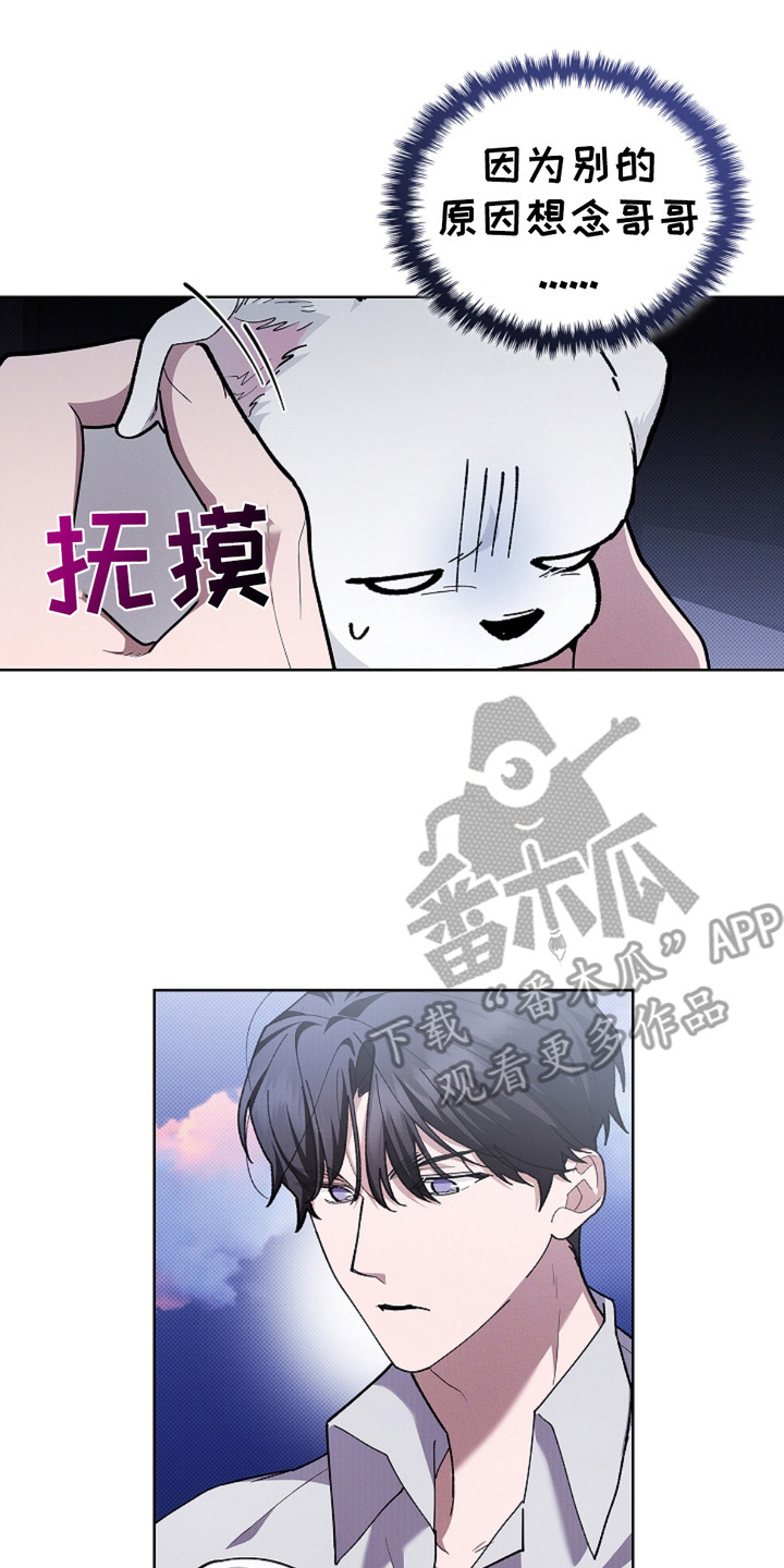 小白狗奇遇记第一话漫画,第19话2图