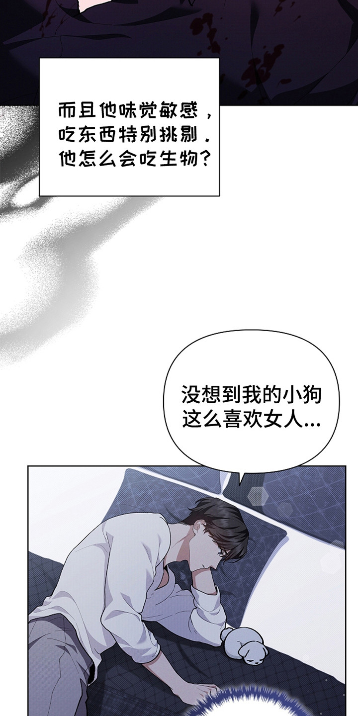 小白狗奇遇记漫画免费阅读软件漫画,第24话3图
