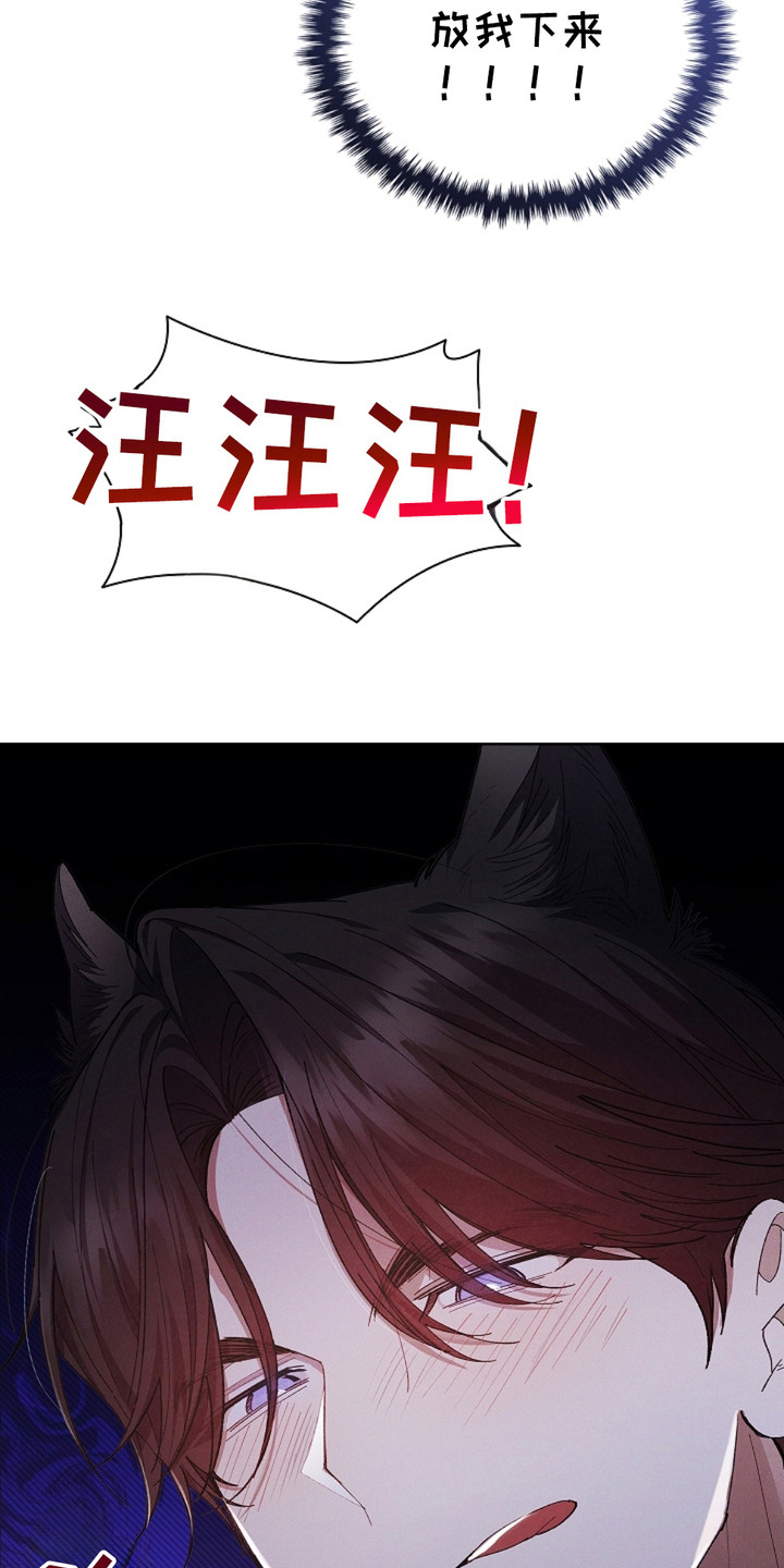 小白狗奇遇记免费漫画下拉式漫画,第4话3图