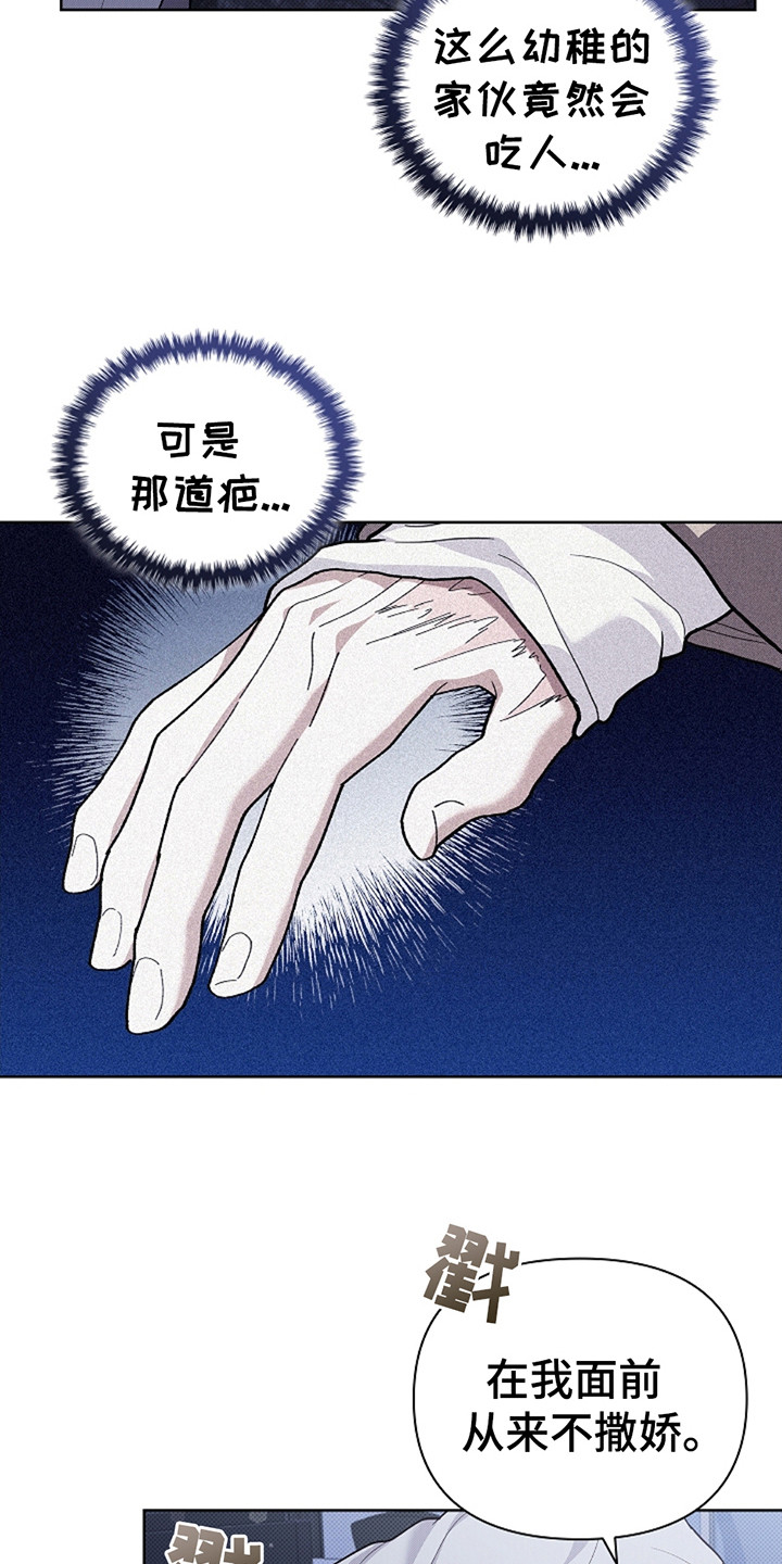 小白狗奇遇记漫画免费阅读软件漫画,第24话4图