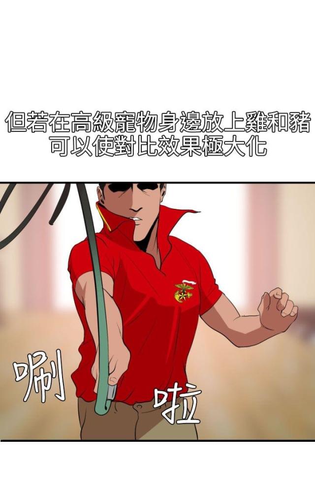 四个蛋清放多少塔塔粉漫画,第50话5图