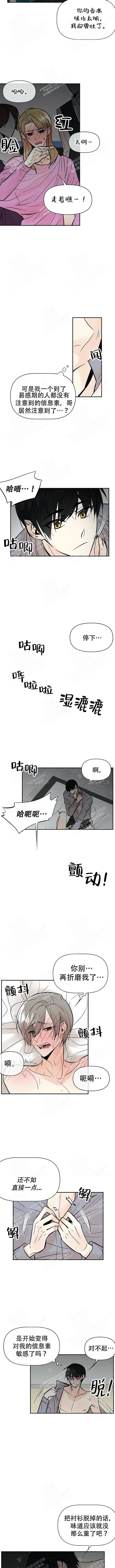 避风港用英语怎么说漫画,第27话3图