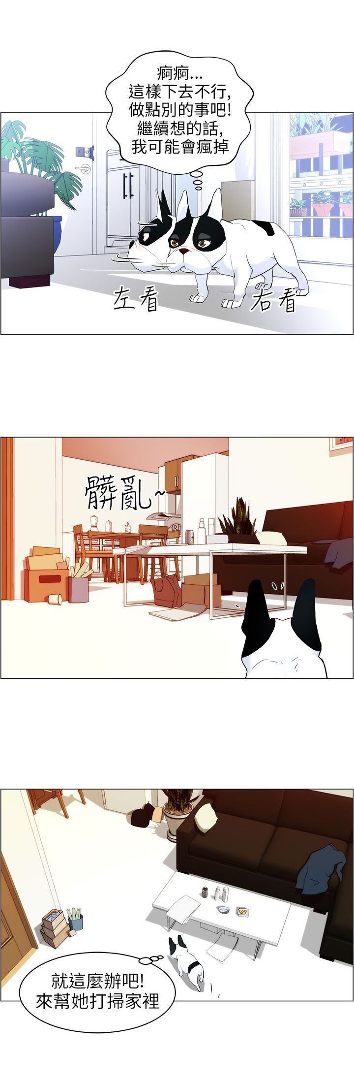物种起源五分钟看懂漫画,第11话5图