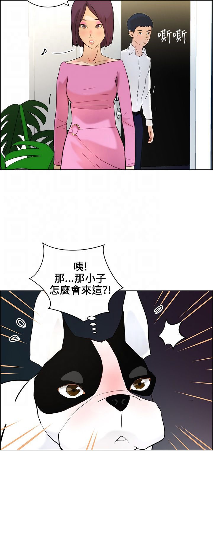 物种起源的作者漫画,第12话2图