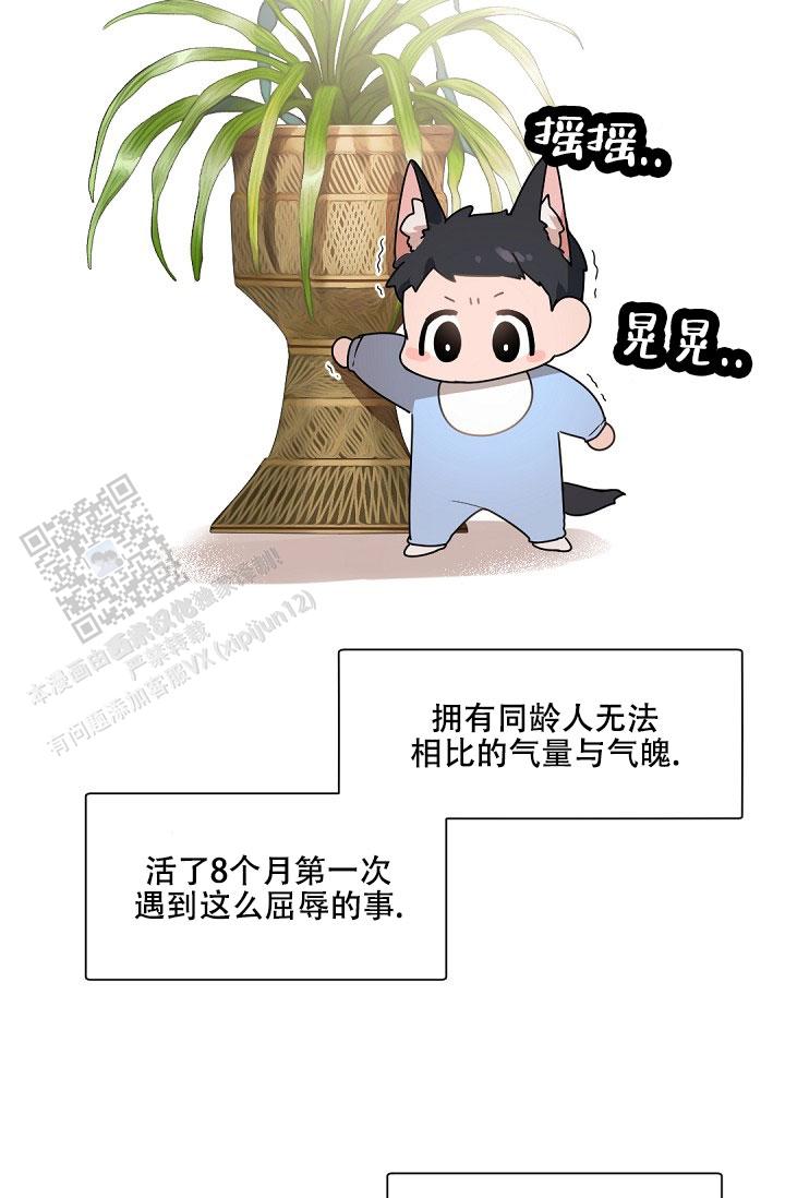 老板的小宝贝漫画免费阅读下拉式漫画,第145话3图
