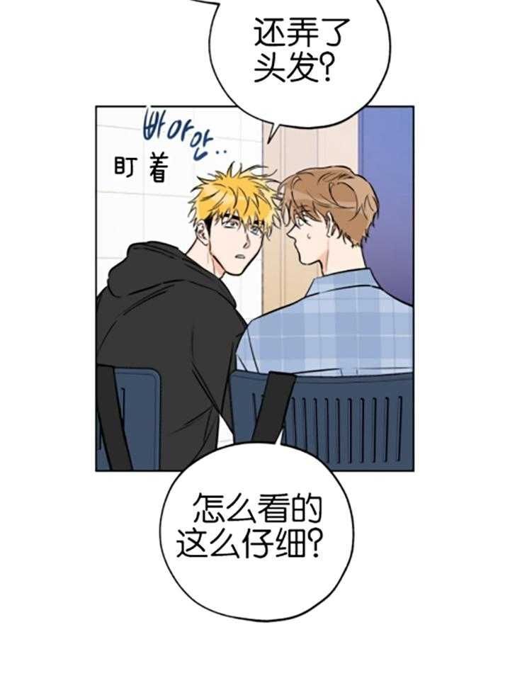 幸运天使婚纱摄影漫画,第80话3图