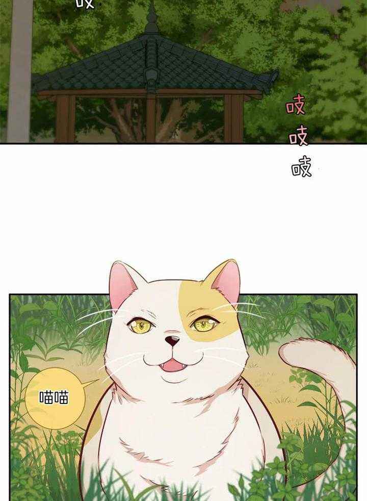 夏天的减肥生活漫画,第60话2图