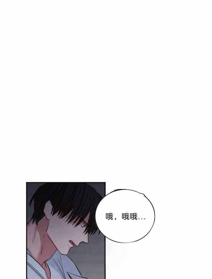 珊瑚是植物还是动物漫画,第75话1图