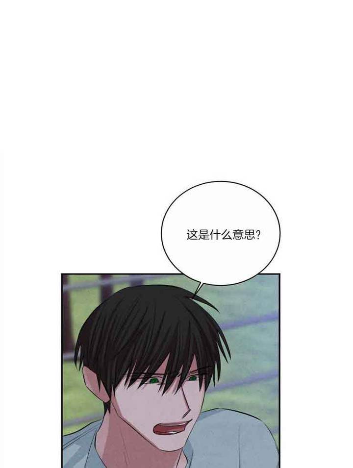 珊瑚石手串漫画,第80话1图