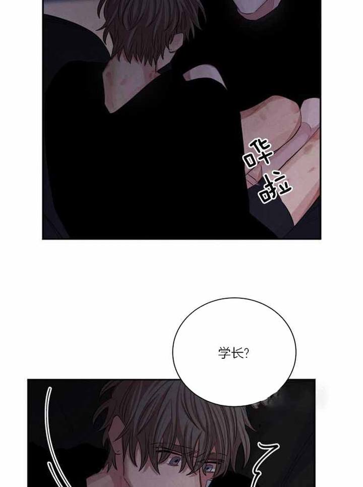 珊瑚用什么感官来捕食漫画,第89话4图