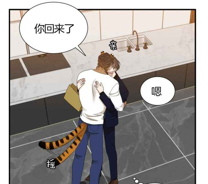 被驯服的虎/虎视眈眈/驯虎/眸中藏虎漫画,第147话4图