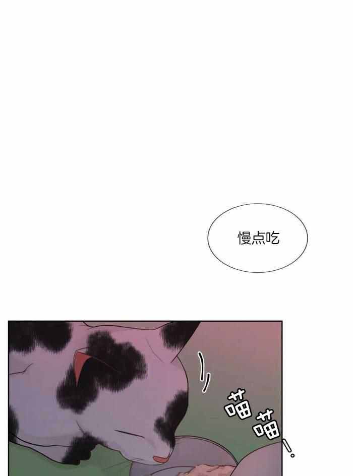阿尔法伴侣漫画最新章节漫画,第90话1图