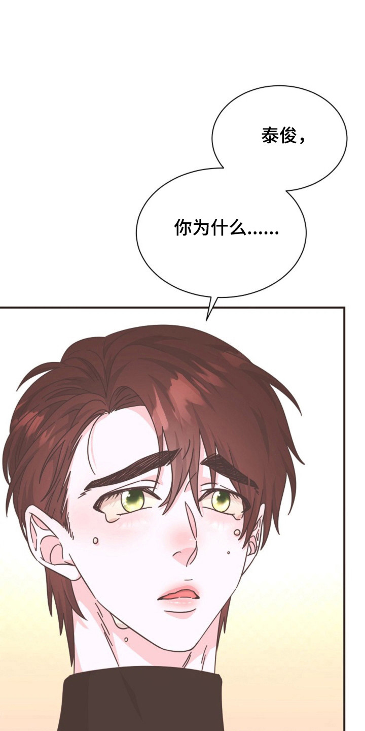 我的爱豆会发光全文番外漫画,第25话1图