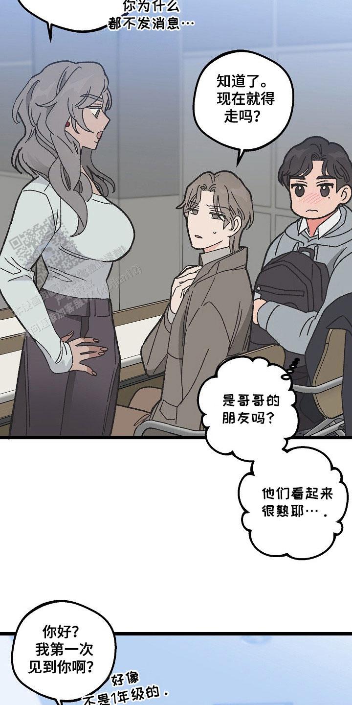 越界的二十岁第一季漫画在线观看免费版漫画,第5话3图