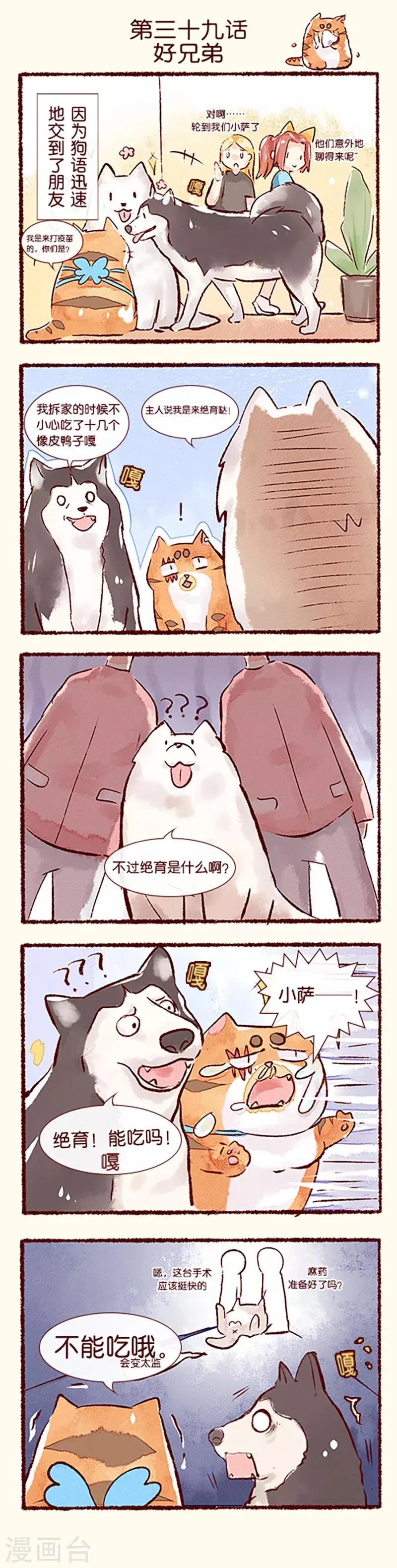 无名神功漫画,第39话 好兄弟1图