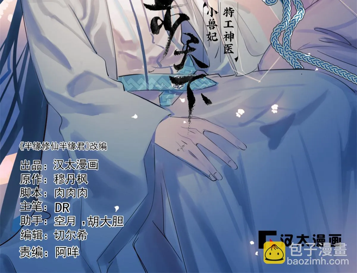 毒步天下特工神医小兽妃免费漫画,4132图